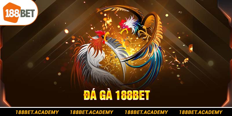 đá gà 188bet
